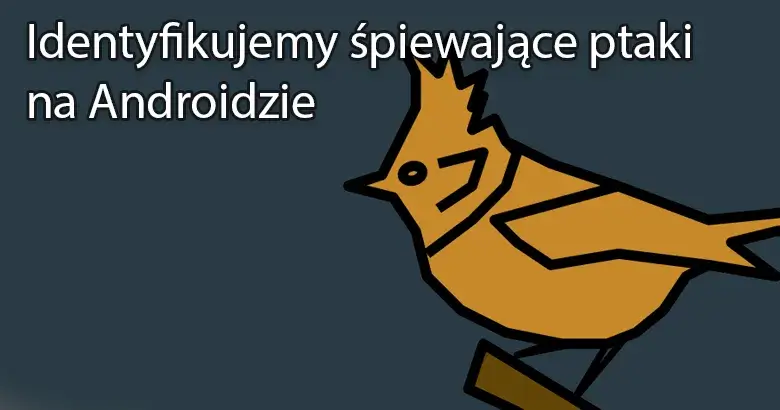 Blog kopia 4