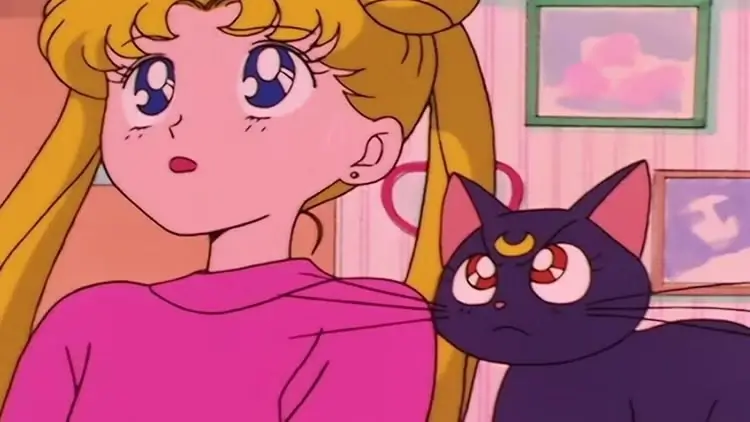 Sailor Moon Usagi And Luna