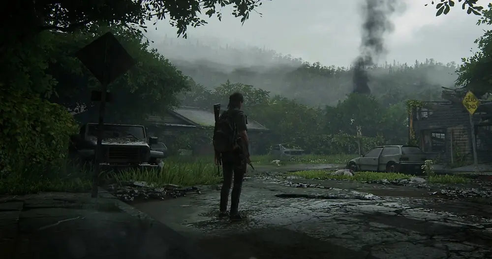 last of us 2 hold