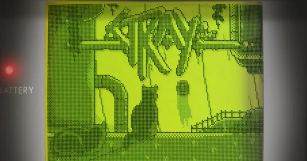 stray