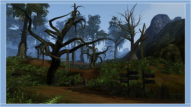 MGE-Screenshot-2019-03-24-08.23.09