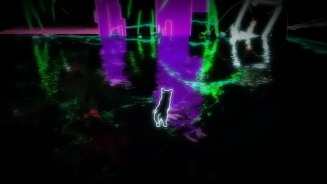 PSYCHIC-CAT-5