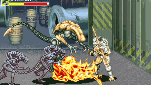 avp1