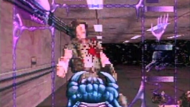 avp_6
