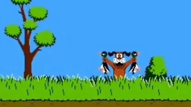 duckhunt-3