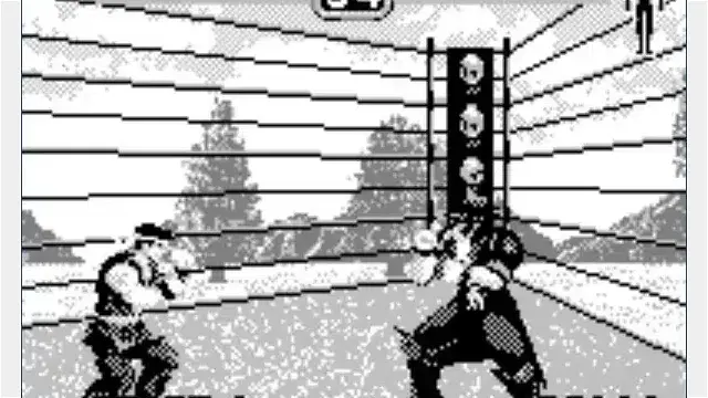 fight