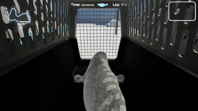 flipper-frenzy-2