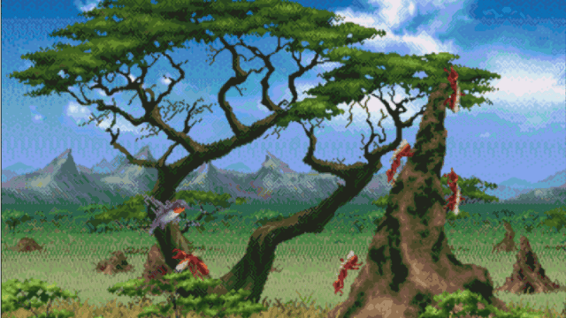 kolibiri