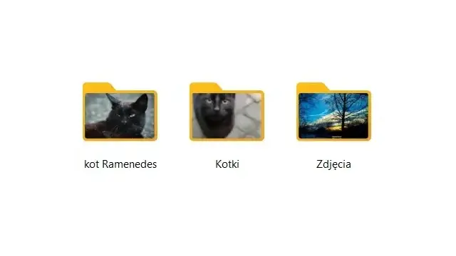 kotki_2