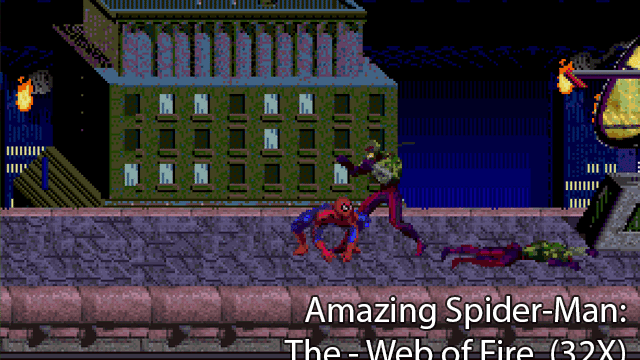 spider