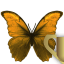 tuwnq